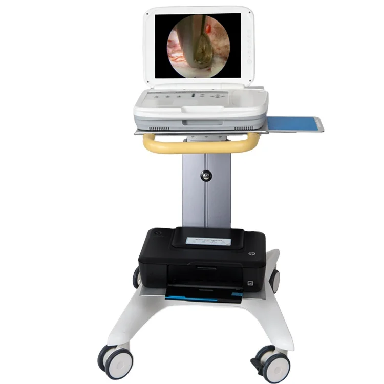 Medical Lab Diagnostics - YKD-9003：耳鼻咽喉科用、フルHD対応のポータブル内視鏡システム（医療診断用画像取得装置）